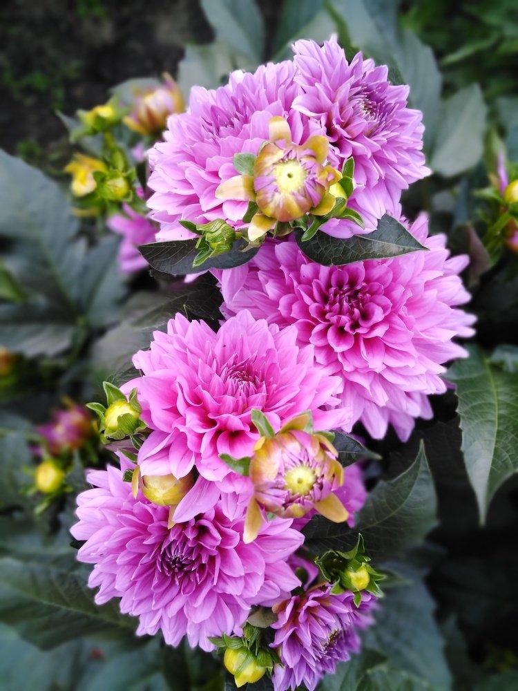 "Акцент на лето"