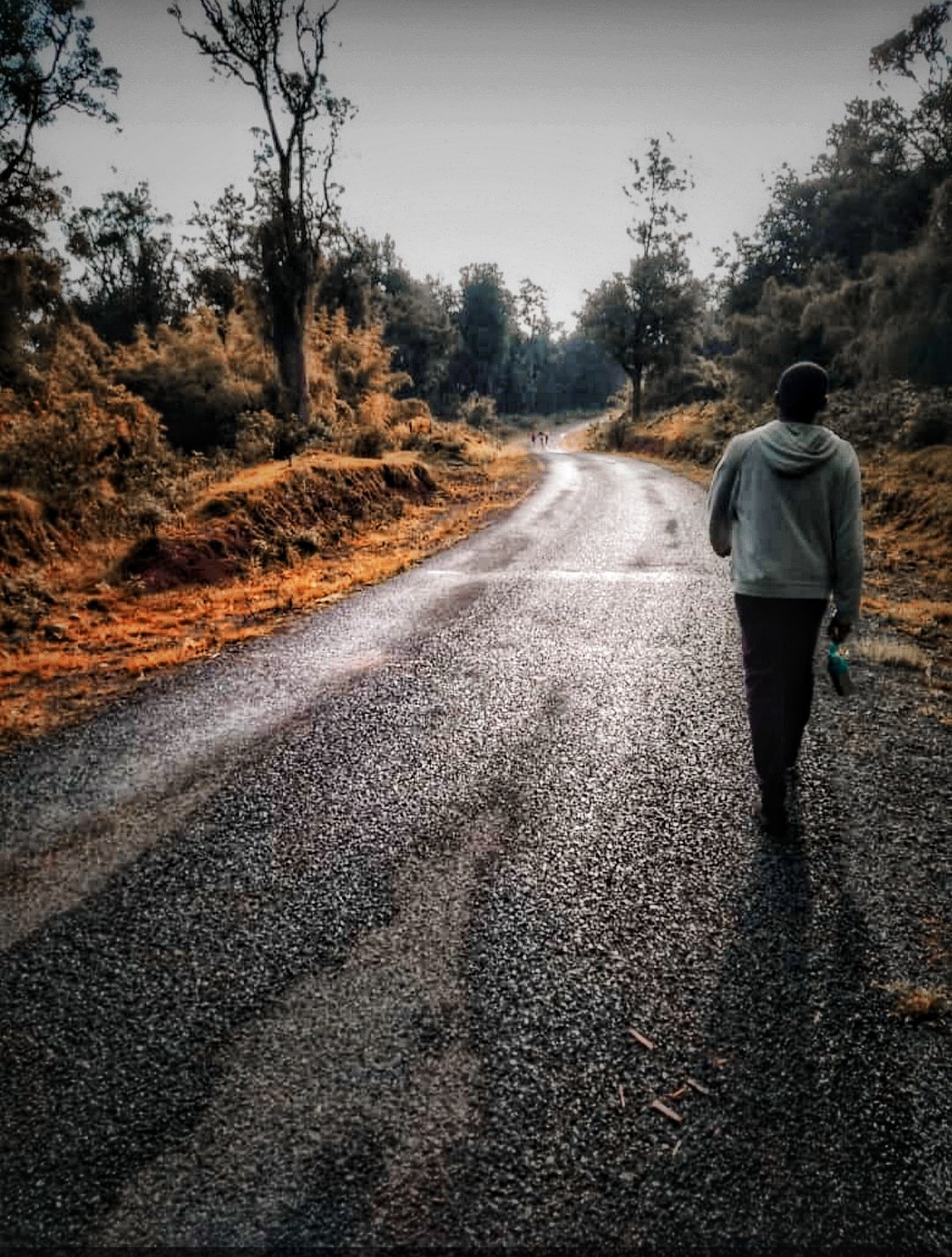 Walking through the streets of nature