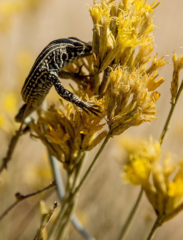 Photograph by Alex Galkin