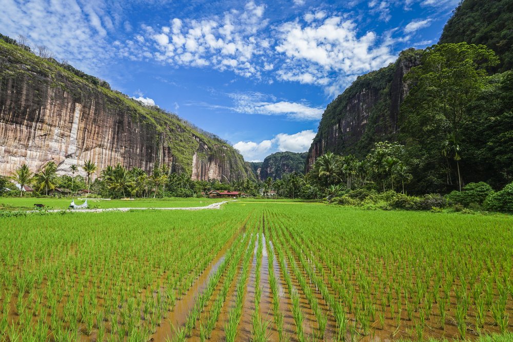 Lembah Harau Geopark