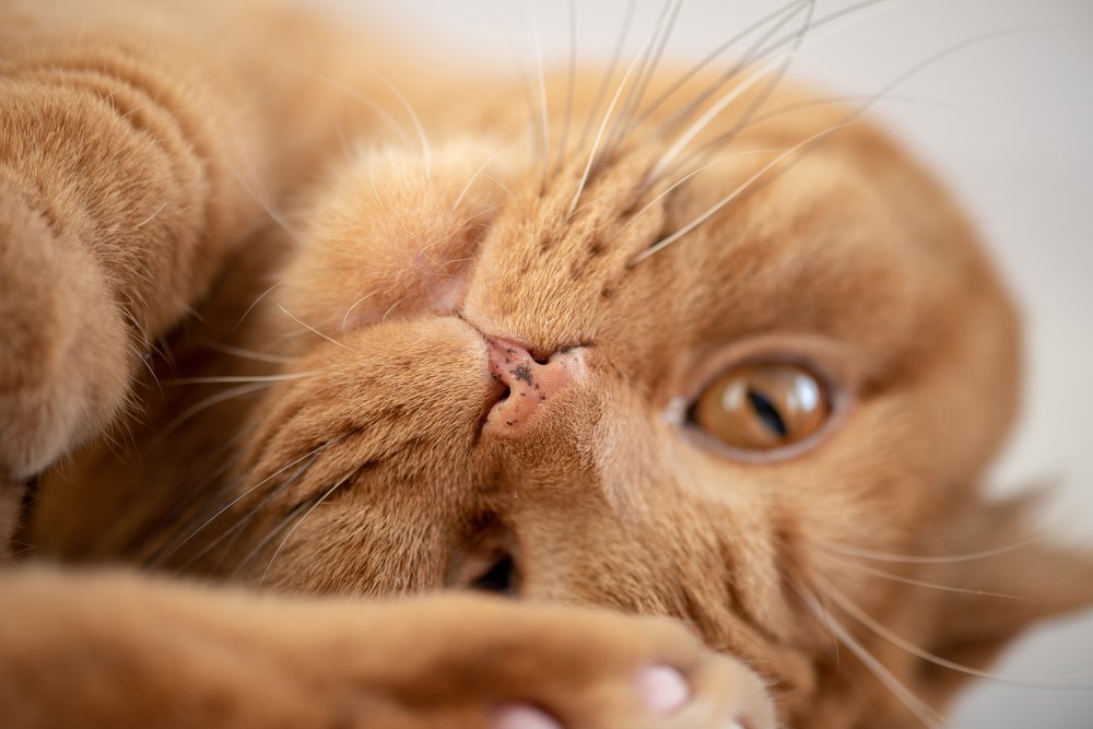 Photograph by Кадырова Марина