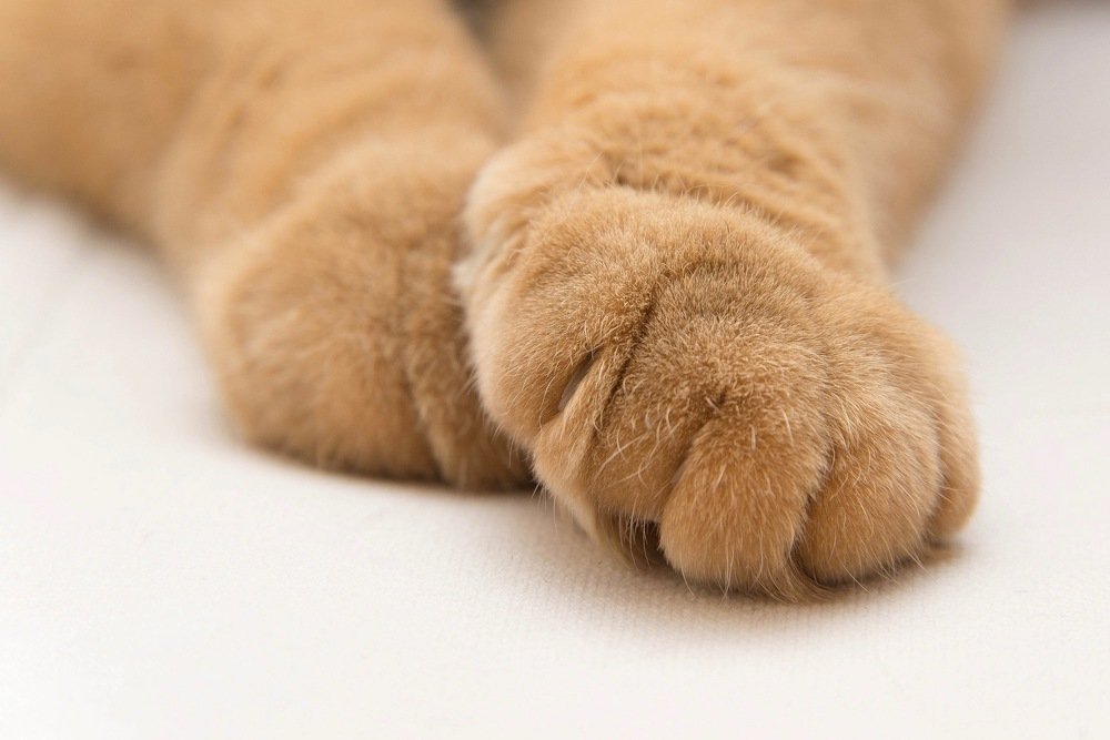 Photograph by Кадырова Марина