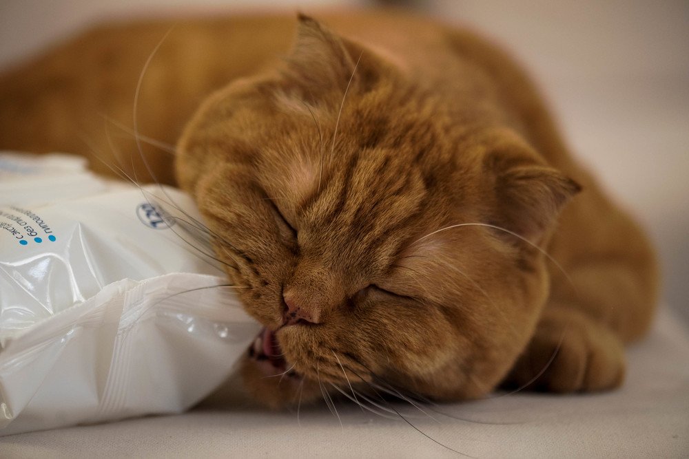 Photograph by Кадырова Марина