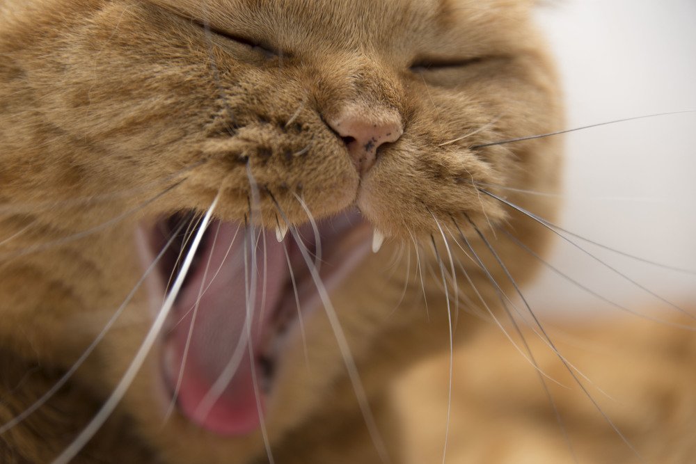 Photograph by Кадырова Марина