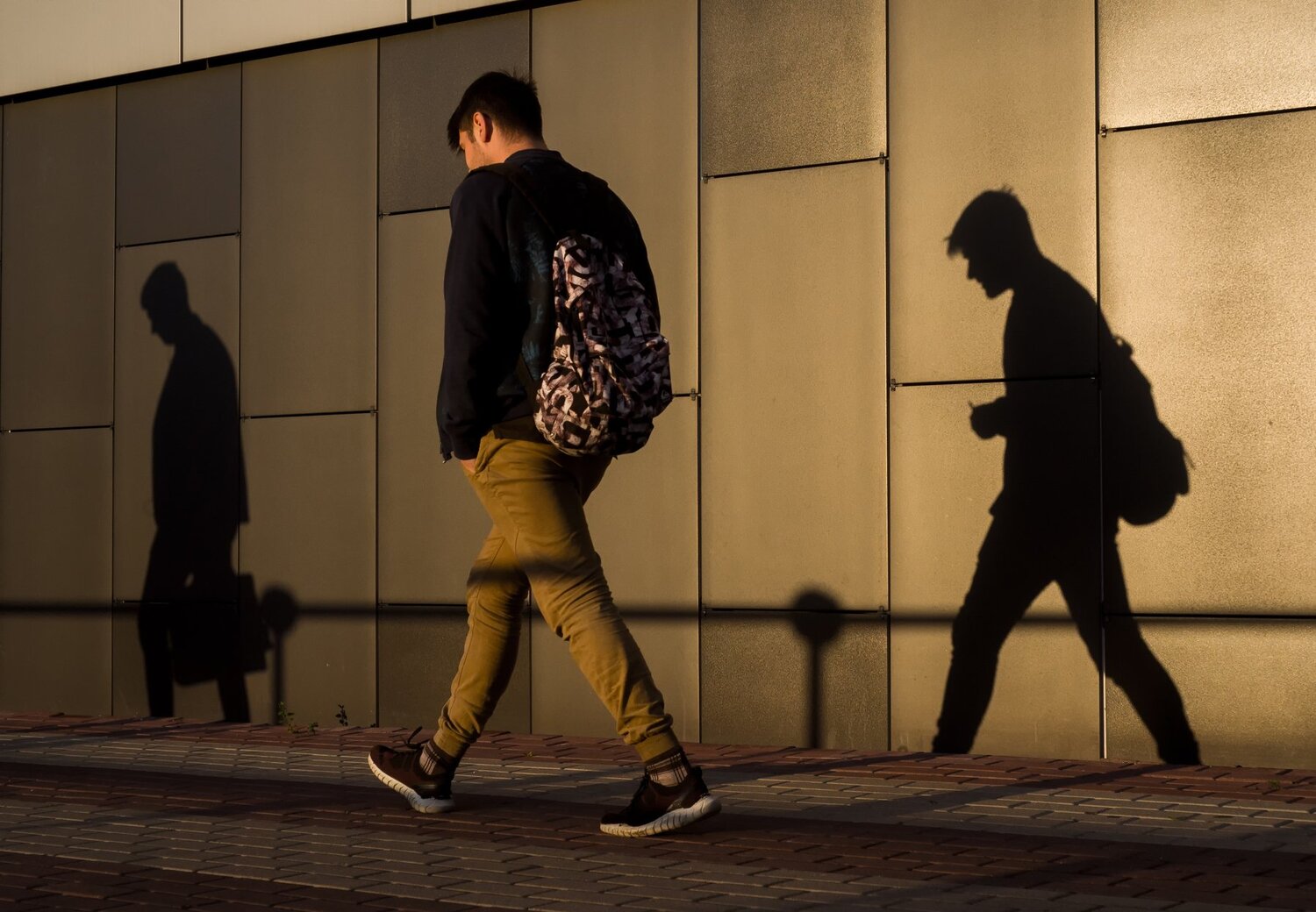 City jungles