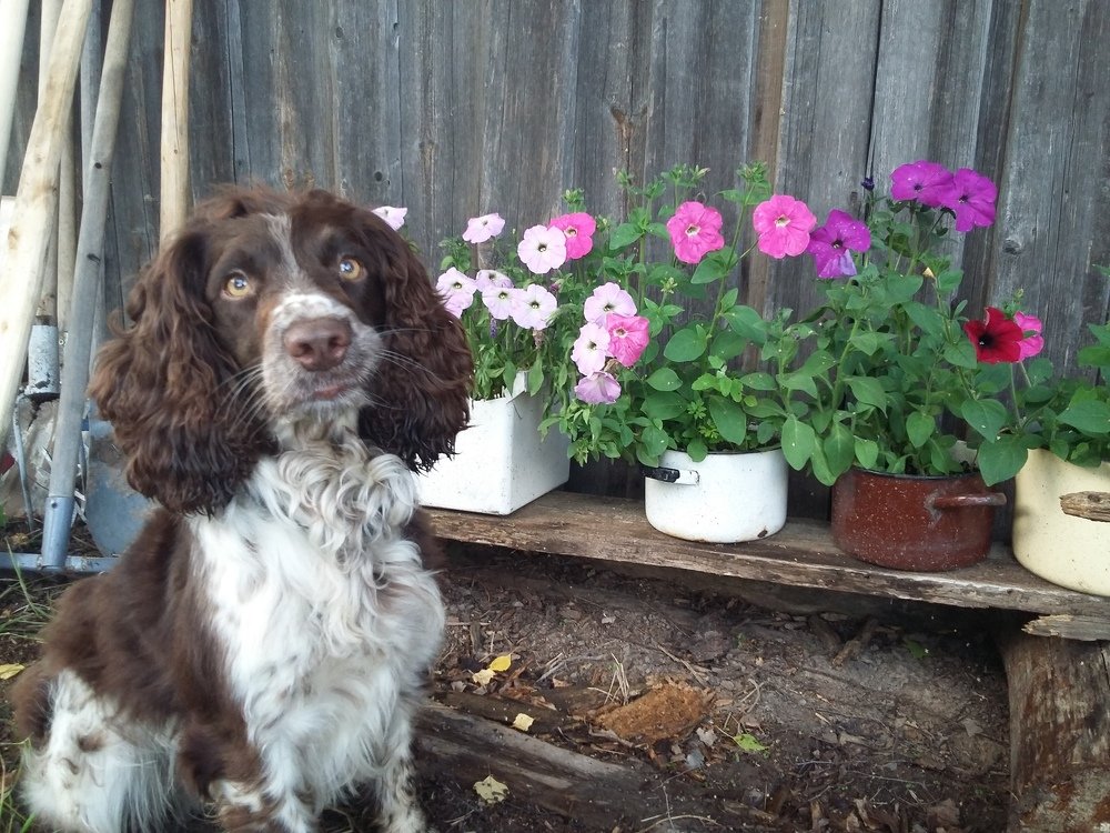 Photo #3406563