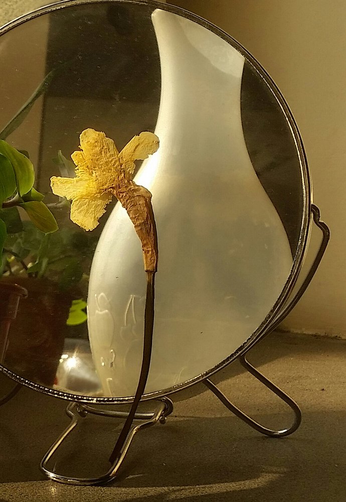 Photograph by Марина Рафаелян