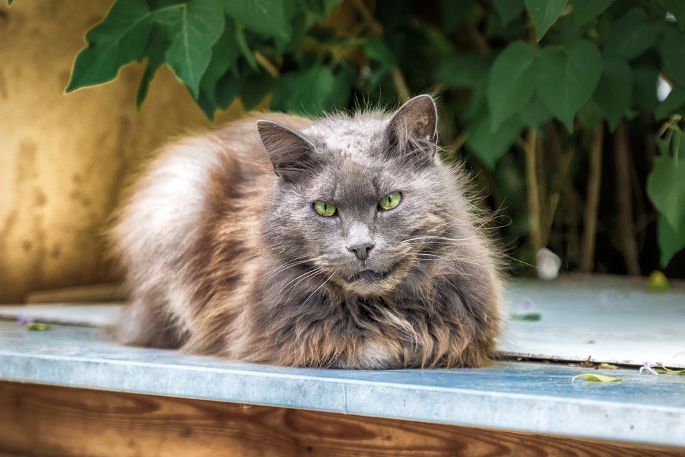 Photograph by kanturu