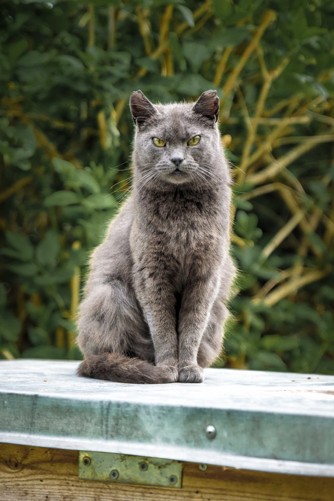 Photograph by kanturu