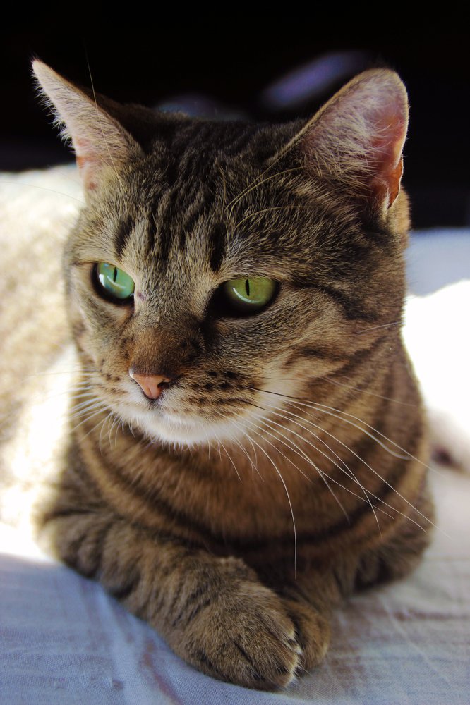 Photograph by kanturu