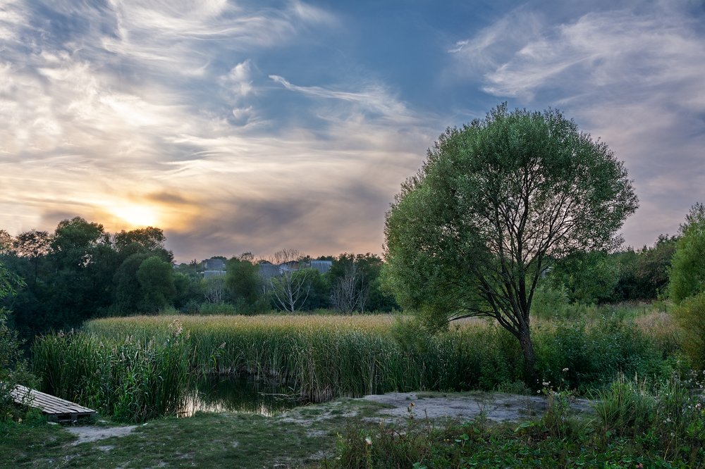 Сельский кусочек в городе