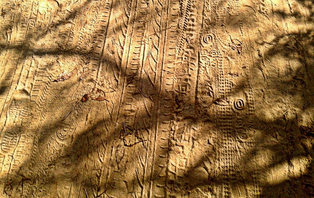 Photograph by Блюмина Елена