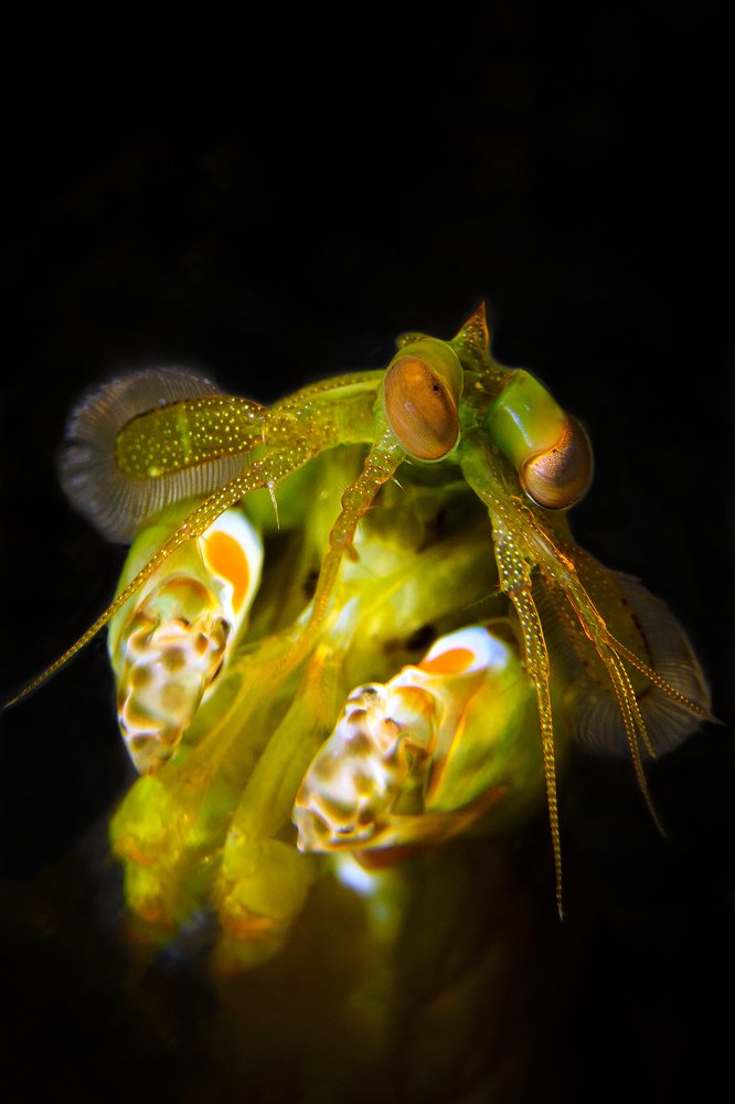 Coquetry? Embarrassment? Or maybe a portrait of a drinker?