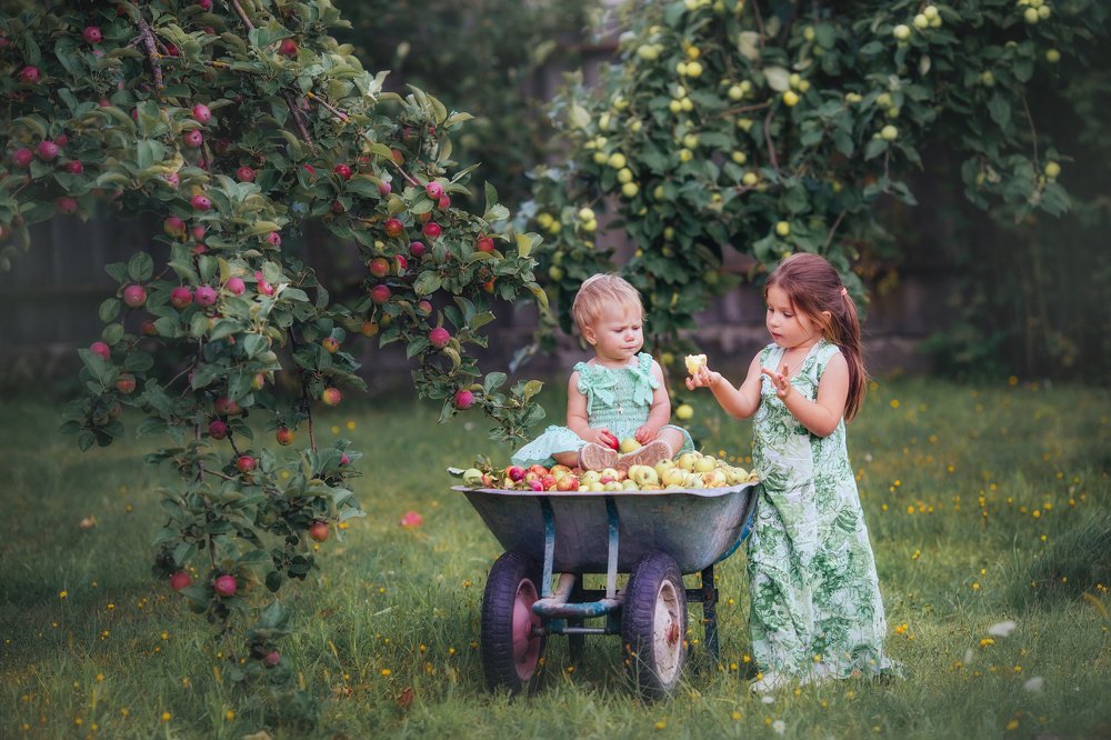 сбор урожая