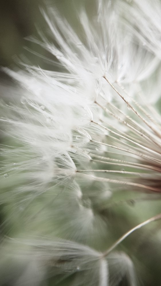 Воздушность одувана...