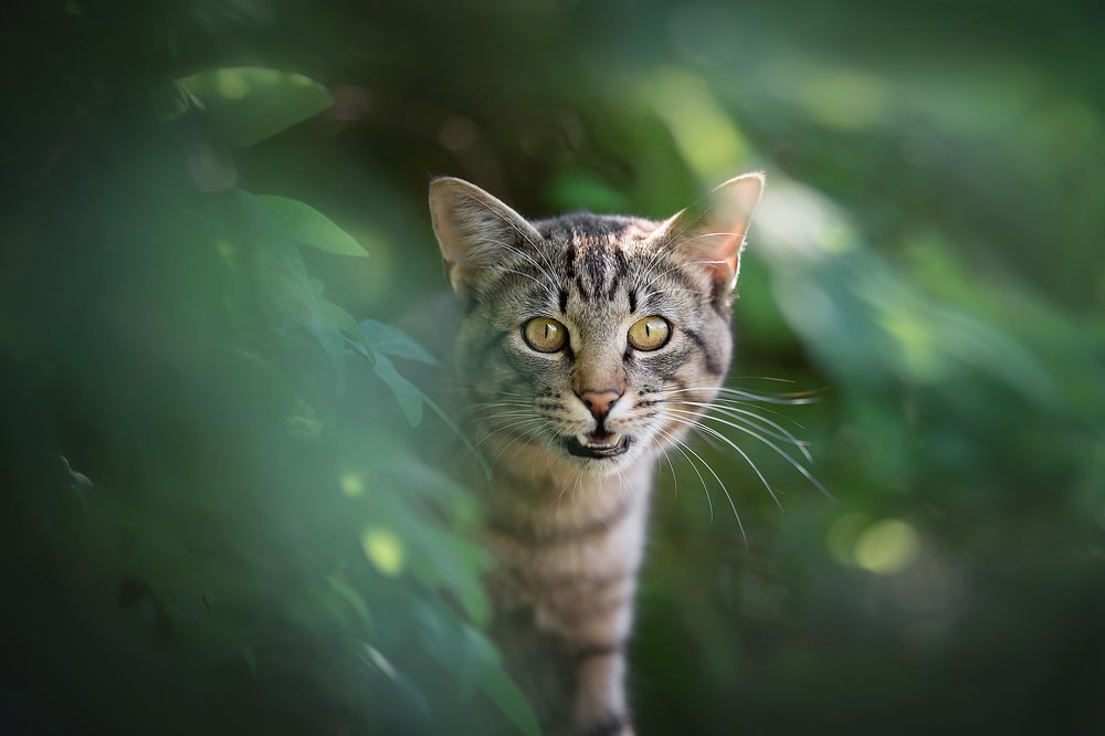 Photograph by Людмила Богуш