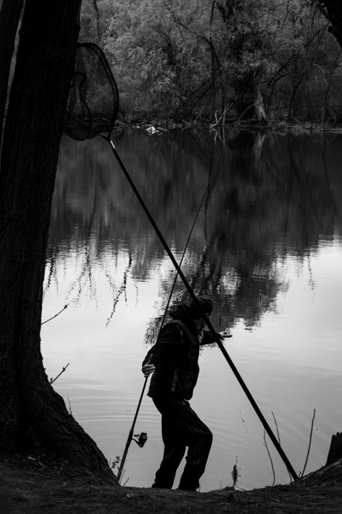 Fisherman at work