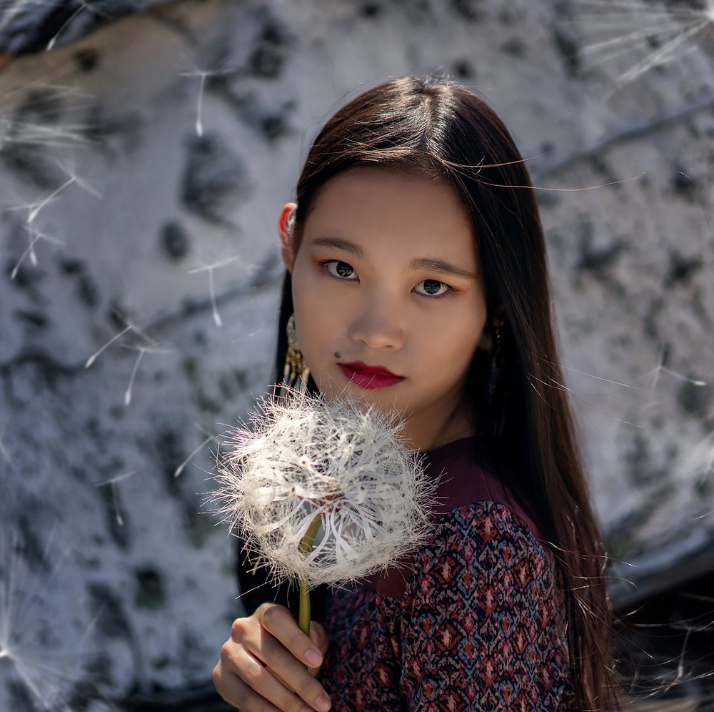 Красавица и одуванчик