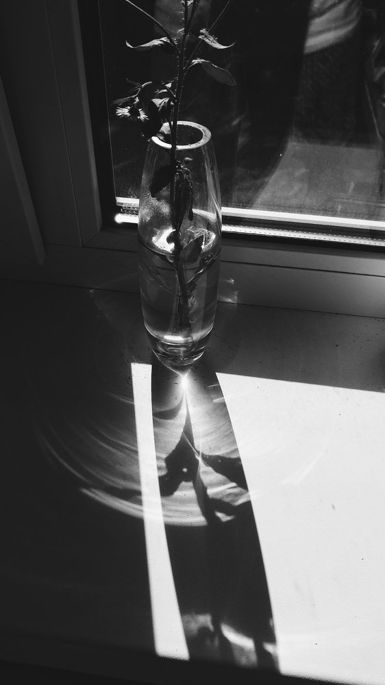 Photograph by Елена Демина