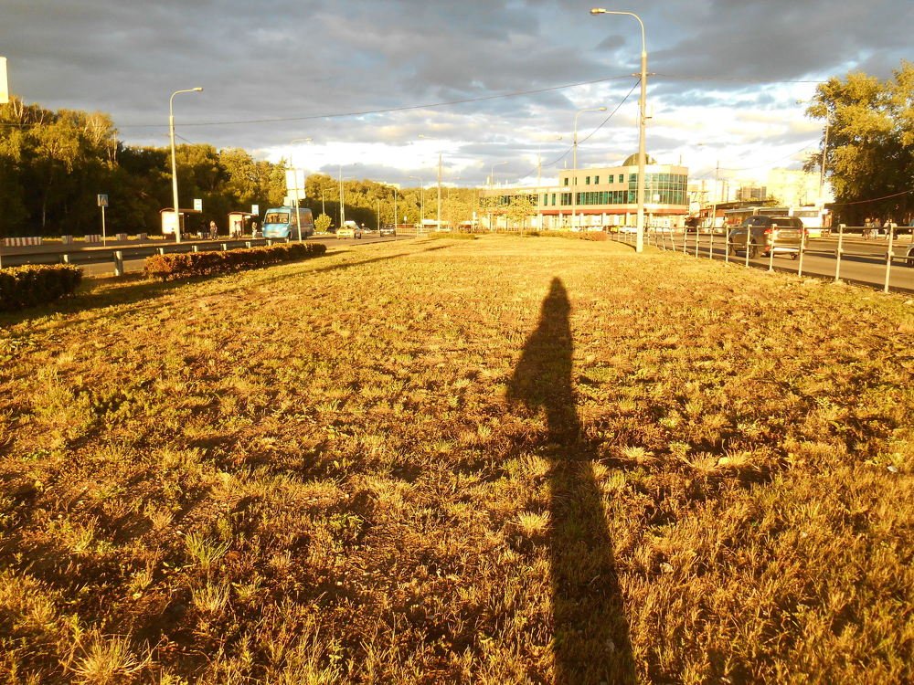 Человек в природе - природа в городе.