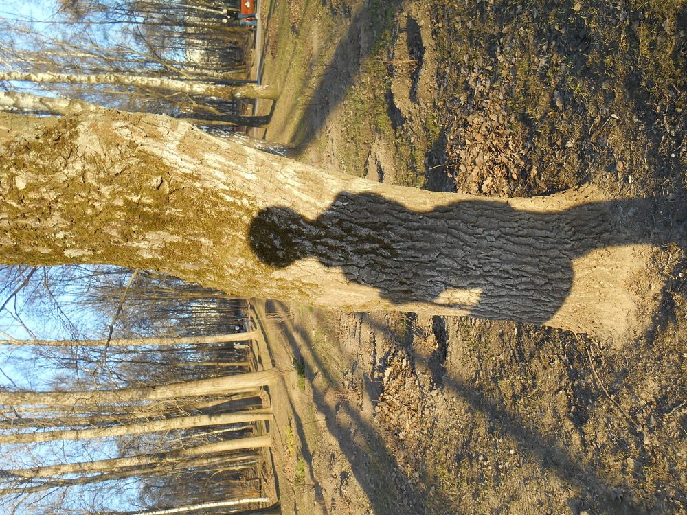 Человек и  природа.