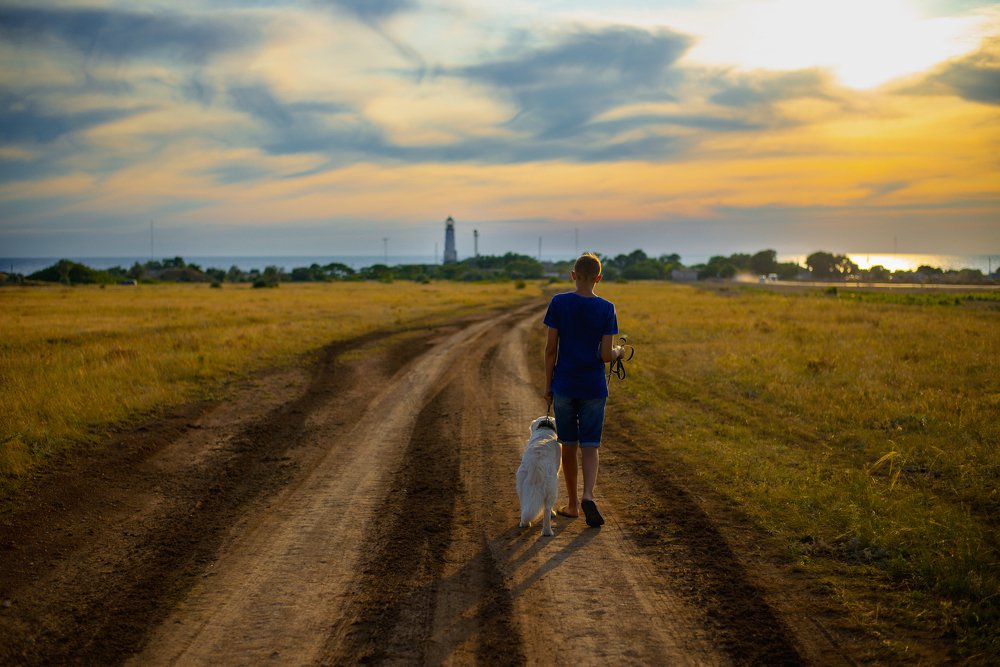 Дорога в закат