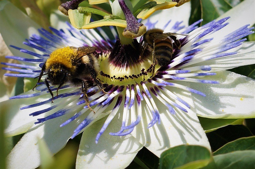 Без названия