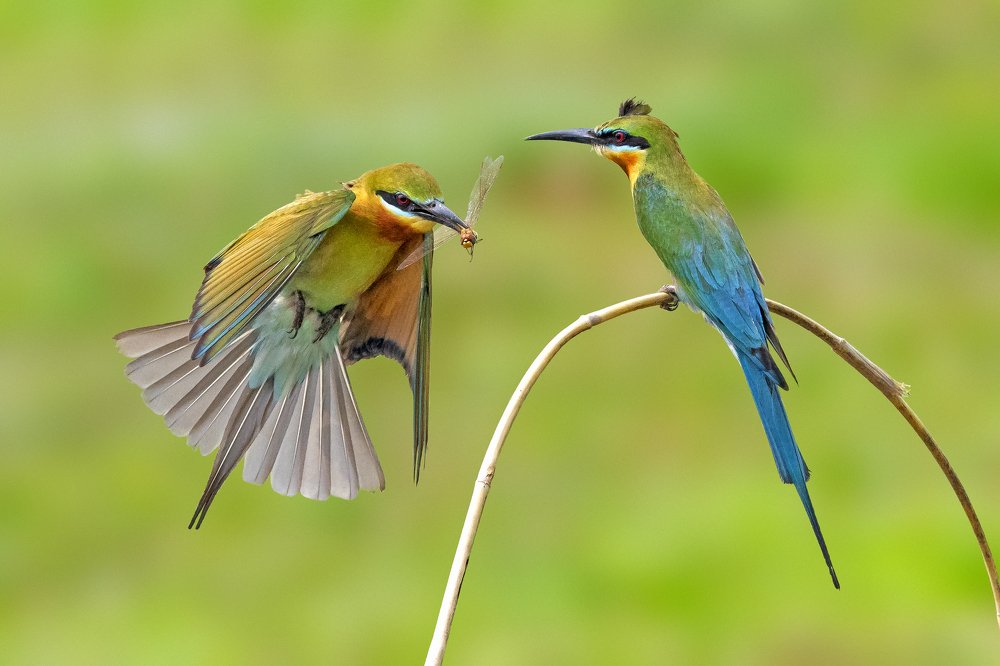 A gift for someone you love