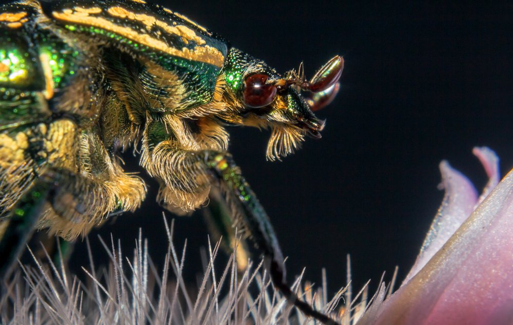 Photograph by Юрий Лисовой