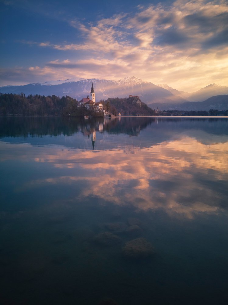 bled