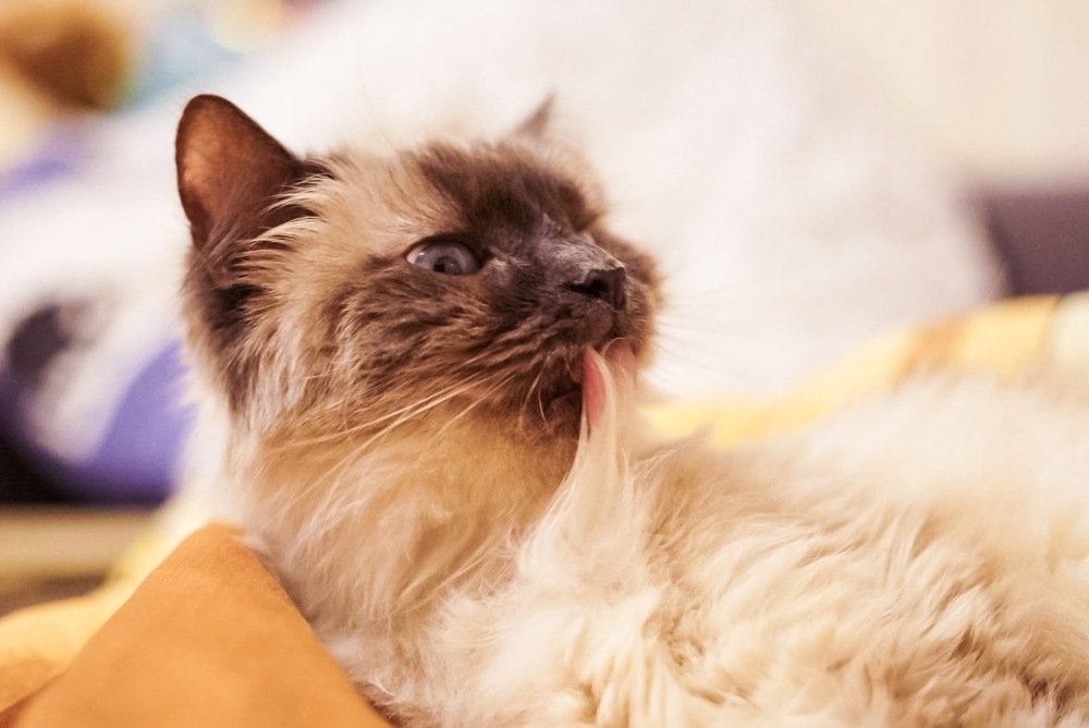 Утренние процедуры