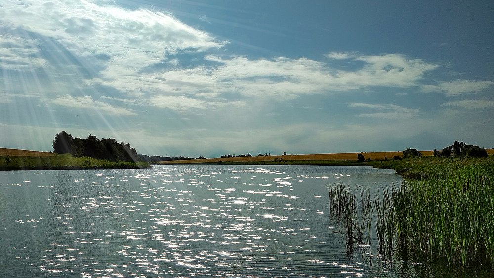 Утро на озере