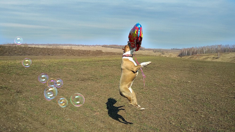 "На большом воздушном шаре..."