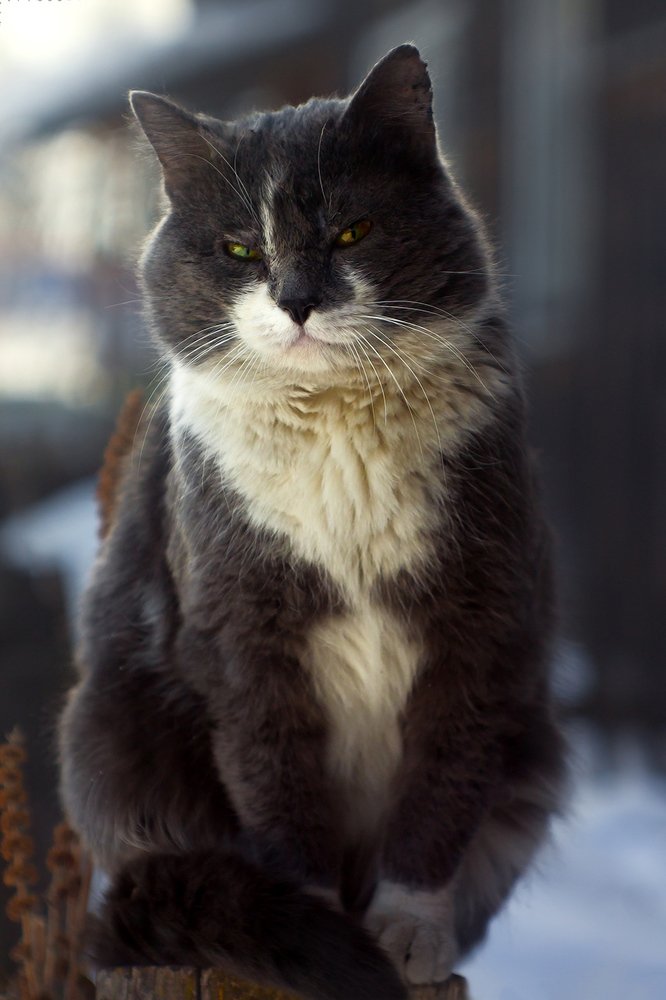 Дмитрий Владимирович