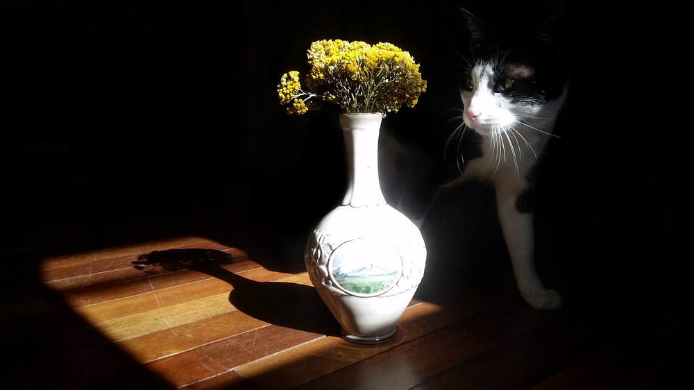 Photograph by Марина Рафаелян