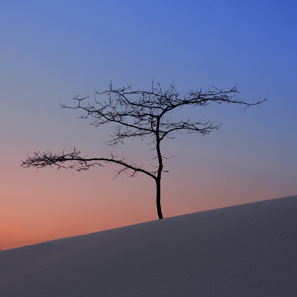 На рассвете