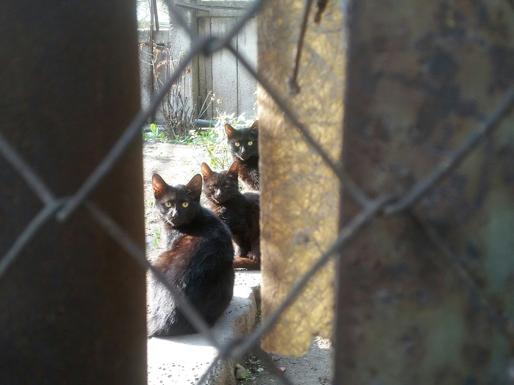 Photograph by Марина Рафаелян