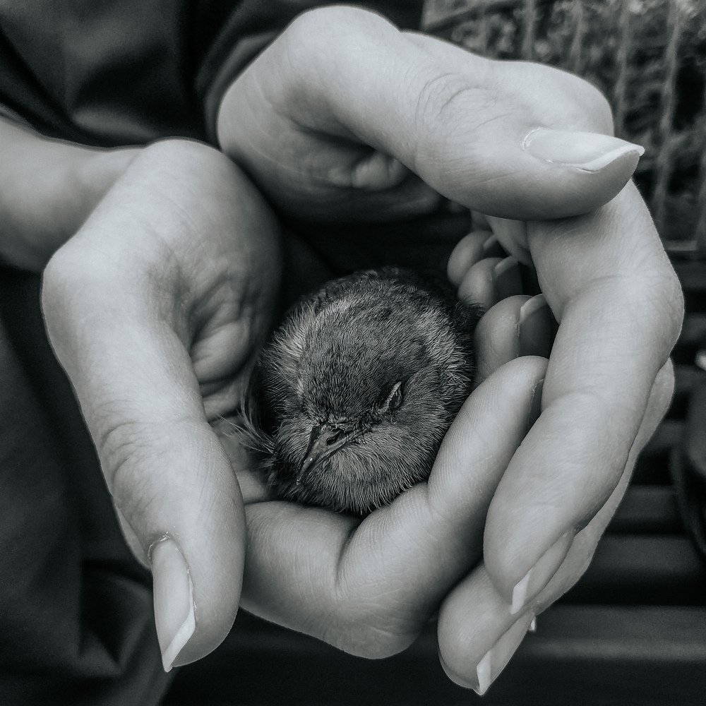 the warmth of the soul