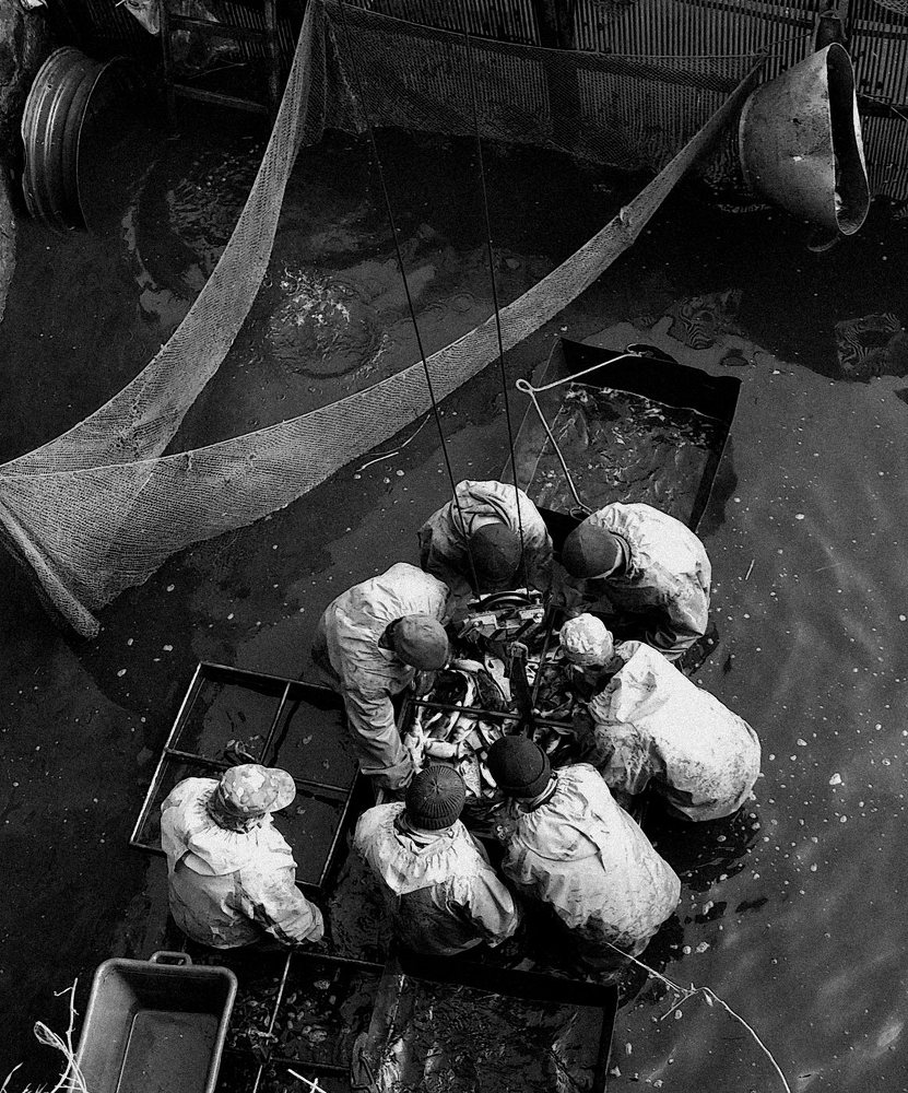 Photograph by Aeromast