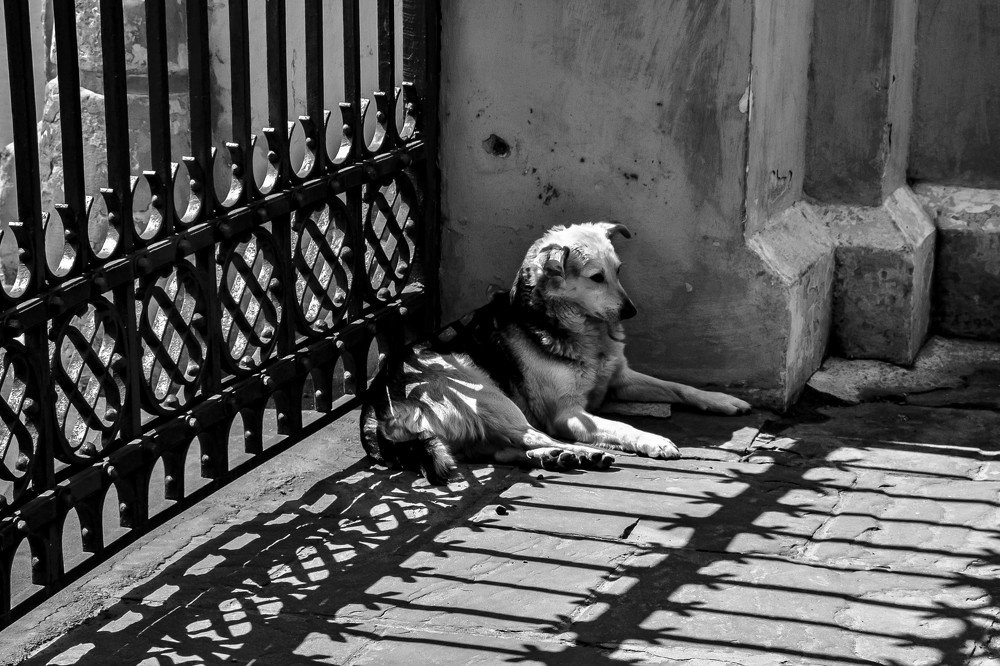 Photograph by Елена Боржковская