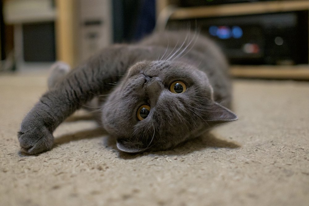 Photograph by Наталья Доброквашина