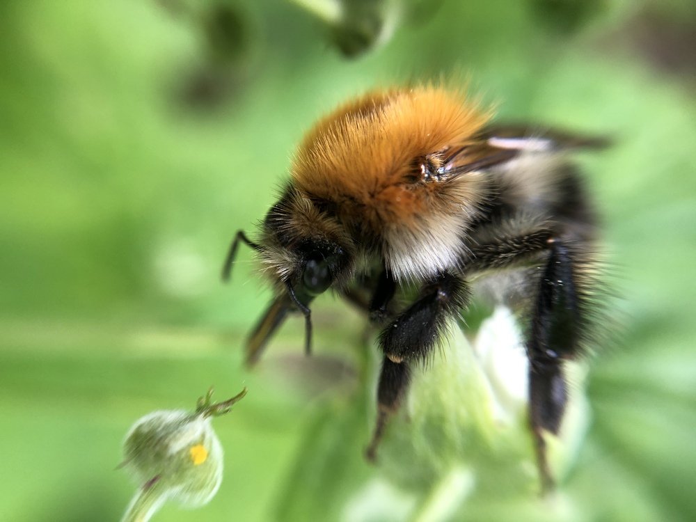 Photograph by Karina Stavicka