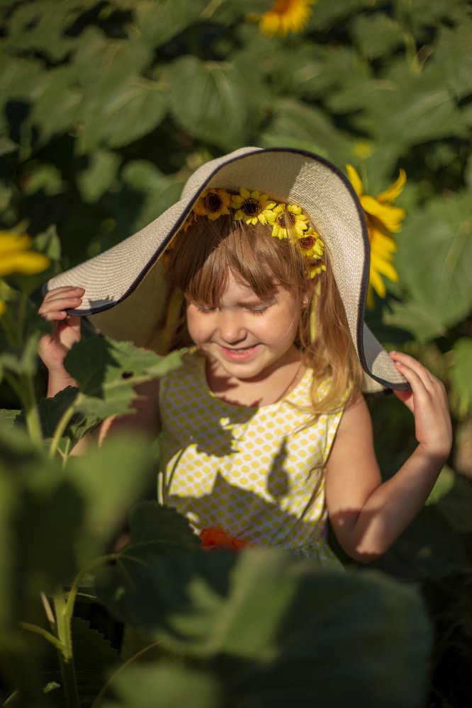 Подсолнухи