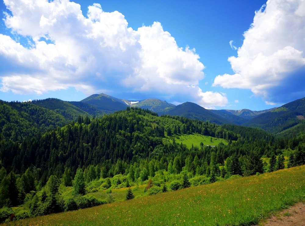 Вид на гору Поп Иван