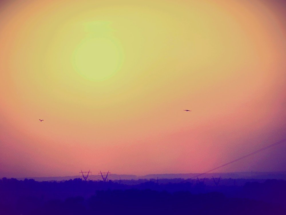 Photograph by Стефанова Татьяна