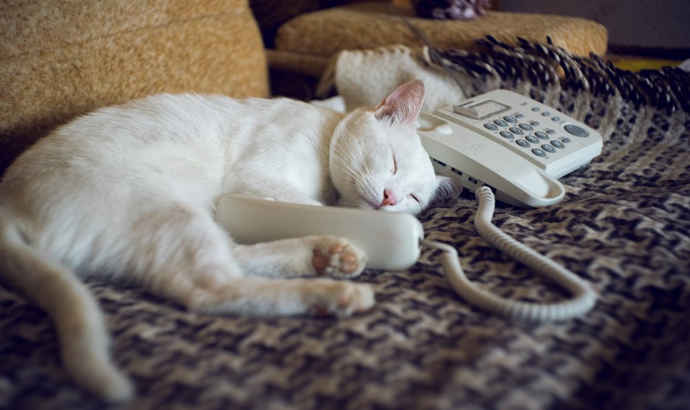 Личный секретарь