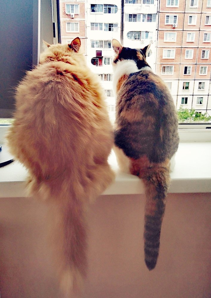 серьезный разговор