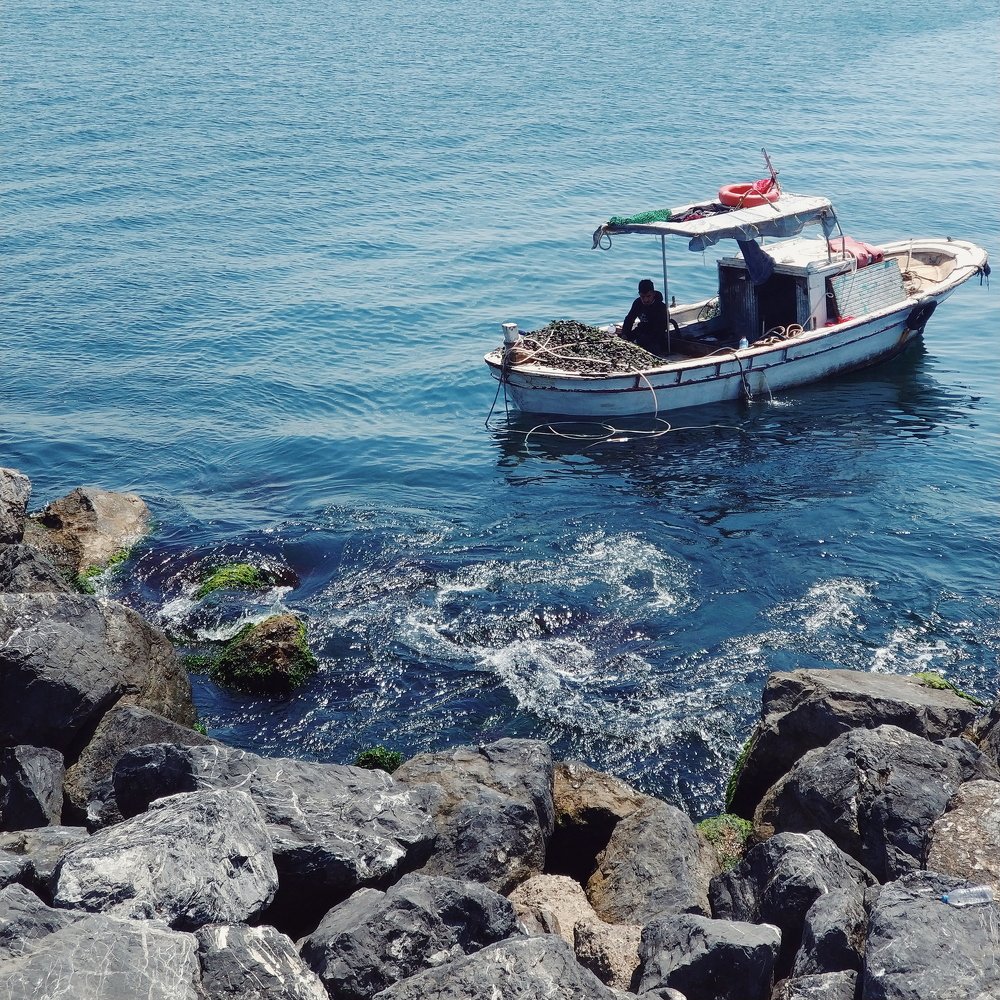 Photograph by Мария Пушкарева