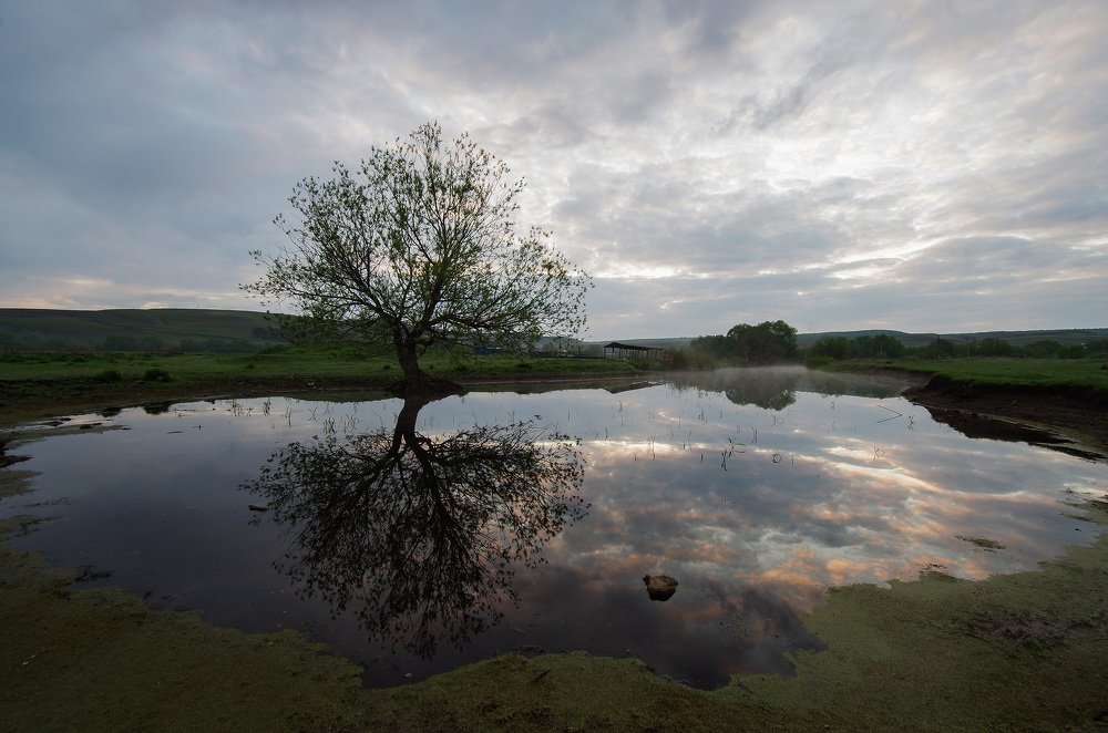 Рассветная тишь