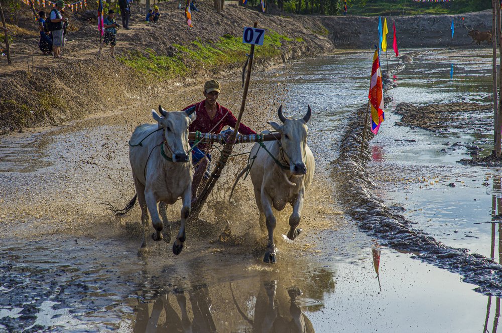 Go to the finish line